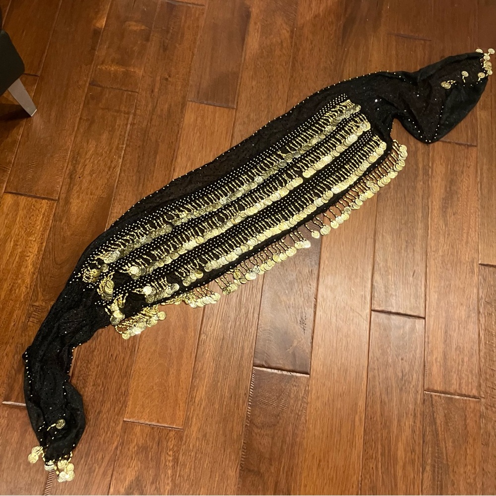 Egyptian Bellydance coin belt—lots of gold coins